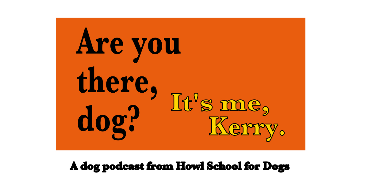 Orange background. Black text reads Are you there, dog? Yellow text reads It's me, Kerry.